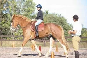 Andy teaching a rider