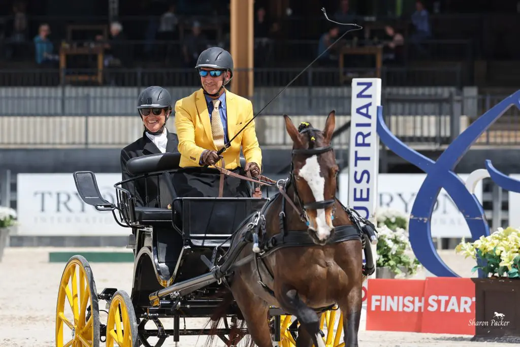 Andy Marcoux driving Loretta in the cones phase at Katydid CDE 2026 at Tryon International Equestrian Center