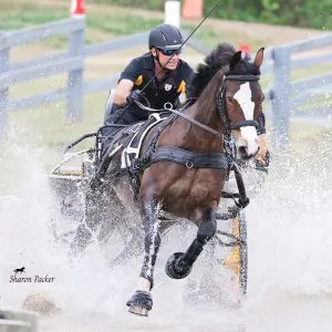Andy Marcoux driving Loretta through the water at Katydid CDE 2026 — obstacle 2