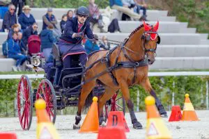 Mario Gandolfo driving through cones at the 2024 FEI World Singles Driving Championship