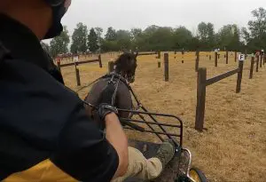 Andy Marcoux and Loretta powering through a marathon obstacle in Europe, mud flying from the carriage wheels