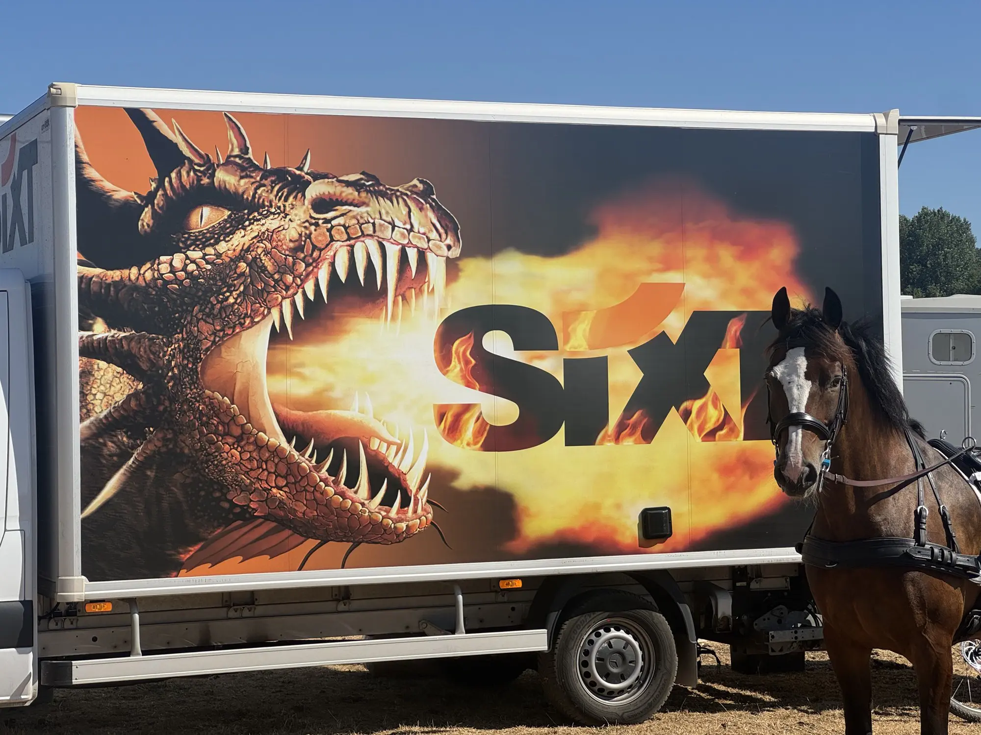 The rented Sixt box truck wrapped in a giant fire-breathing dragon graphic, with Loretta the bay mare standing alongside it at the Chablis CDE.