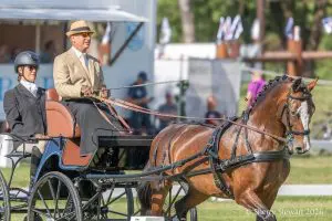 Andy Marcoux and Loretta driving their dressage test at the 2026 FEI Driving World Championship for Single Horses in Munich
