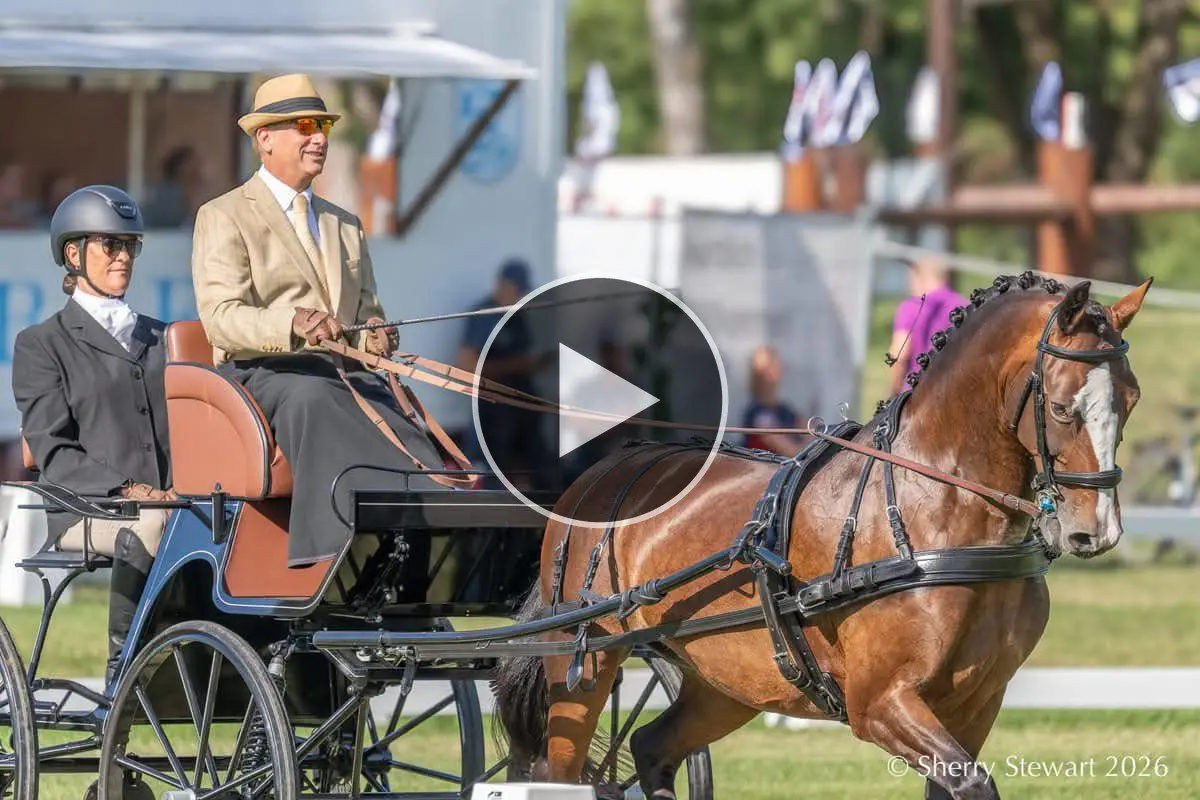 Andy Marcoux and Loretta driving their dressage test at the 2026 FEI Driving World Championship for Single Horses in Munich, with a video play button