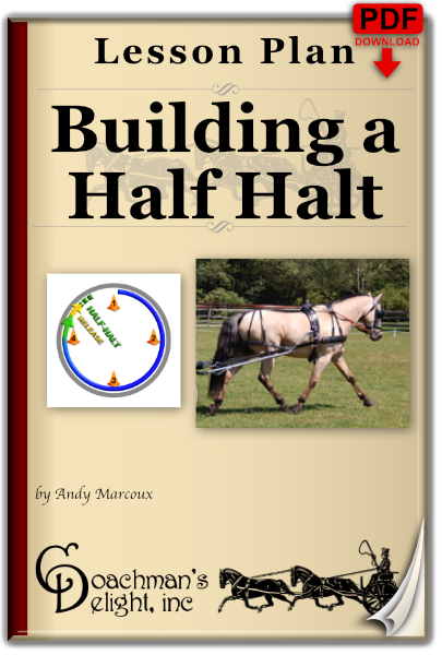 Half Halt Lesson Plan 1