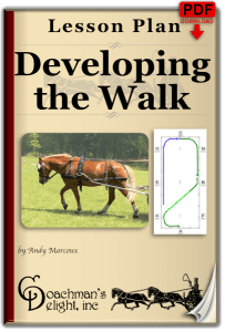 Walk Lesson Plan