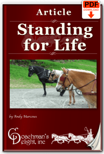 Teach Your Horse to Stand 2