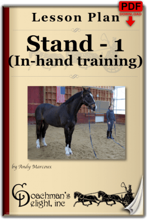 Fundamentals of Teach Your Horse to Stand