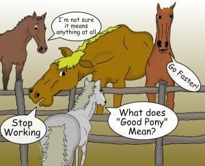 Good Pony Syndrome 9
