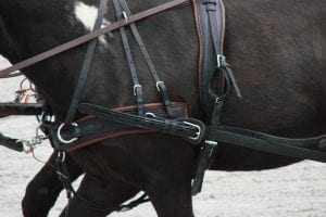 Poor harness fit can cause bucking