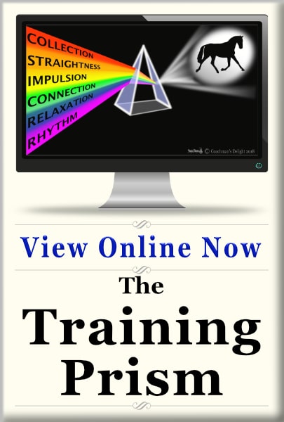 The Training Scale 1