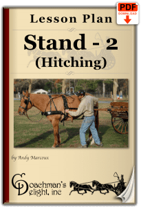 Teach your horse to stand while being hitched to a carriage.