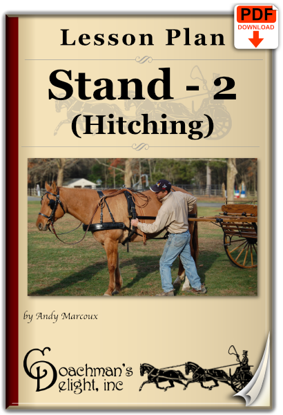 Teach your horse to stand while being hitched to a carriage.
