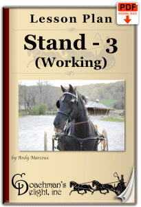 Teach your horse to stand as part of his work.