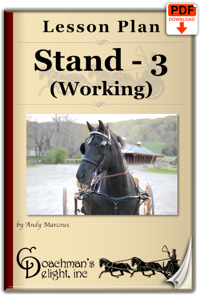 Teach your horse to stand as part of his work.