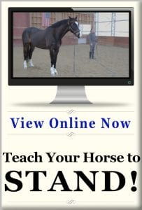 Teach Your Horse to Stand online class