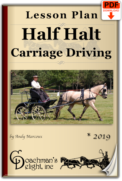 Half halt lesson plan for carriage driving