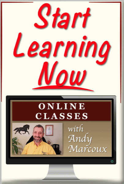 Available Online Classes