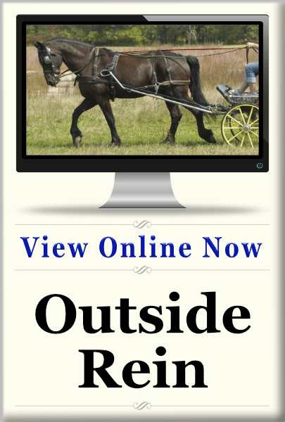 Online class for improving your horse's outside rein. 