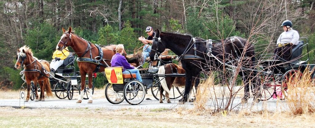 Teaching your horse to stand is the most valuable skill you can train.