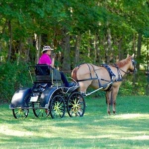 Does your carriage horse stand like this?