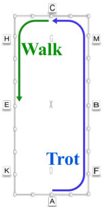 Trot to walk diagram of dial lesson plan